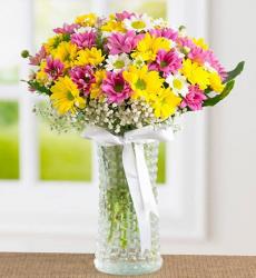 cam vazoda renkli papatyalar