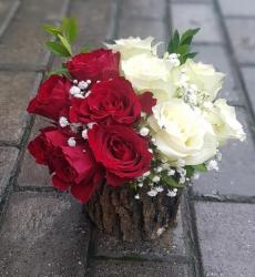 Kütükte Kırmızı ve beyaz güller