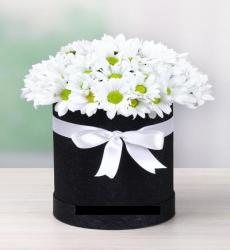 siyah silindir kutada papatyalar